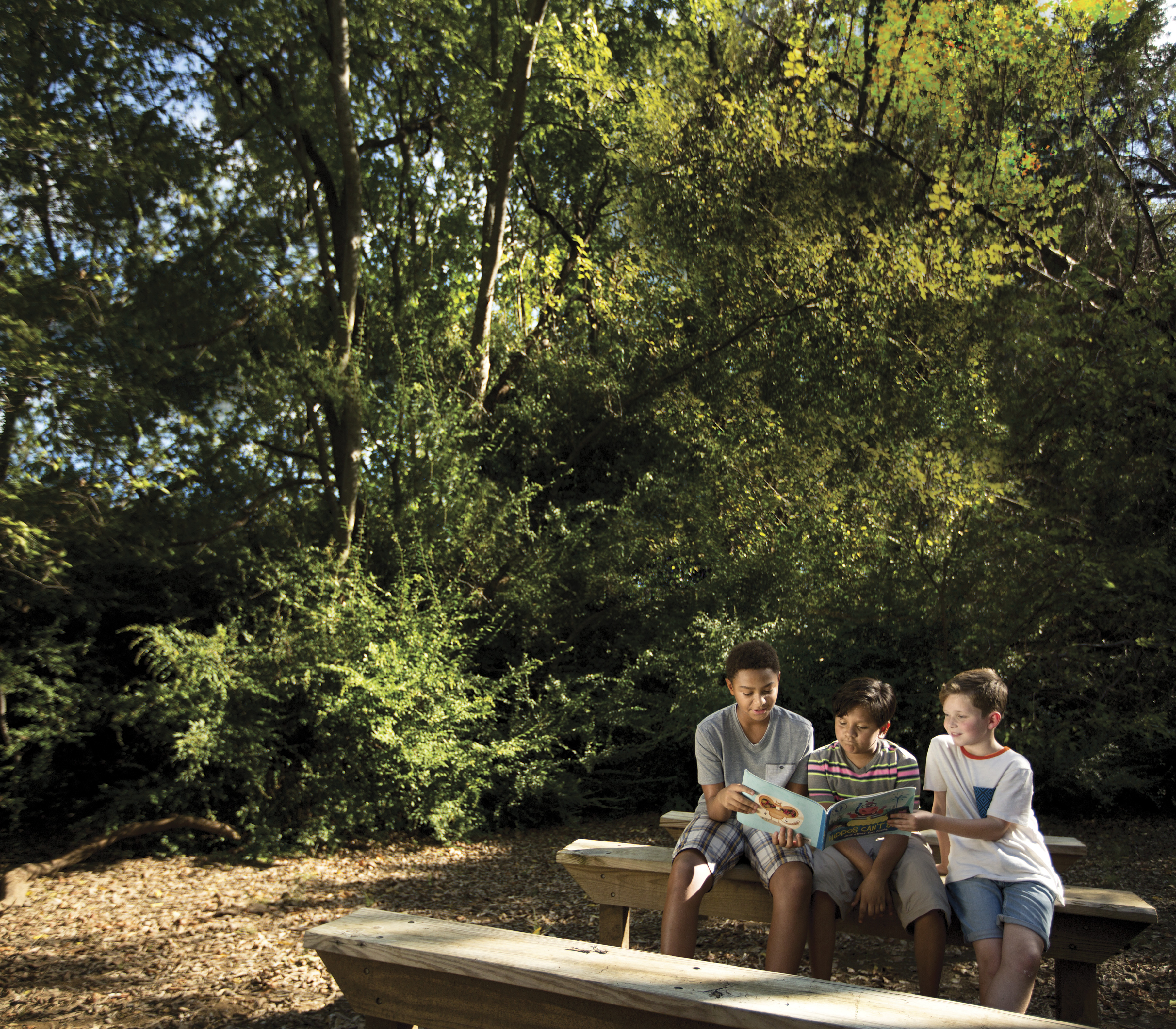 children sitting in the park reading together