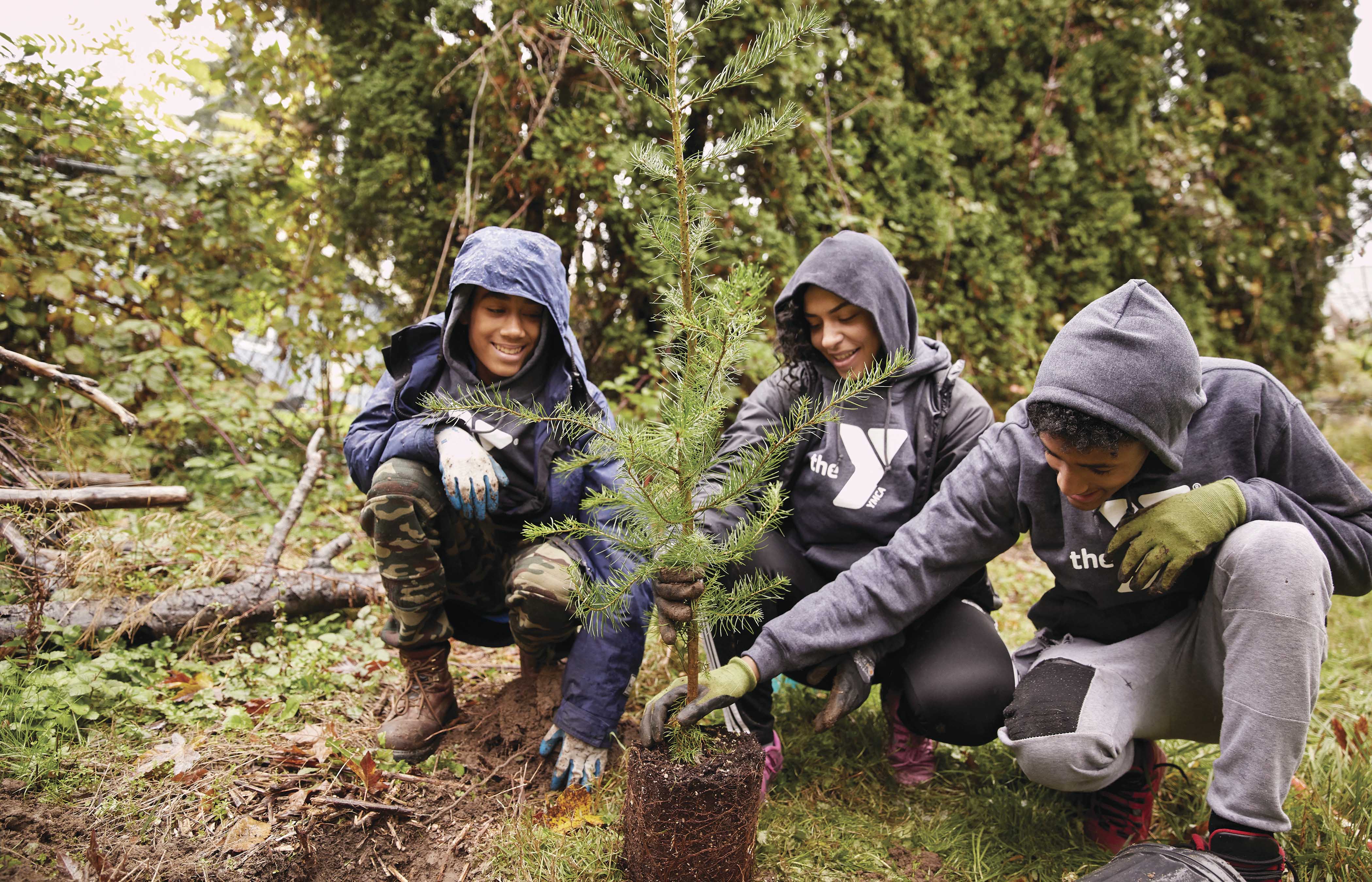 Three people in raincoats planting a tree