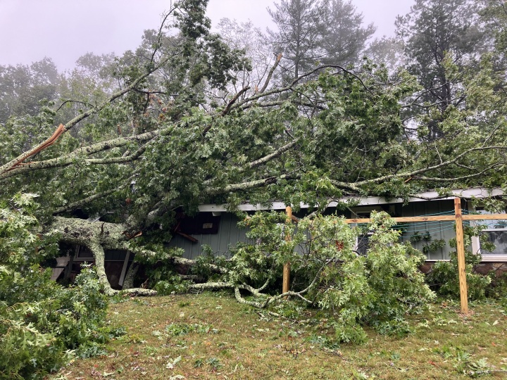 Photo from Camp Greenville