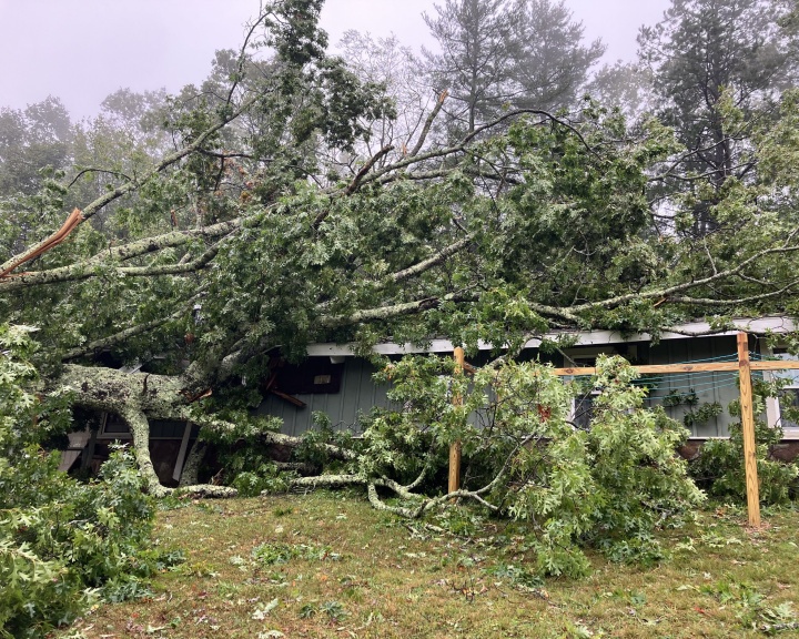 Photo from Camp Greenville